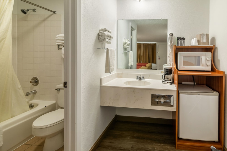 Bathroom, Econo Lodge Miles City I-94, Custer