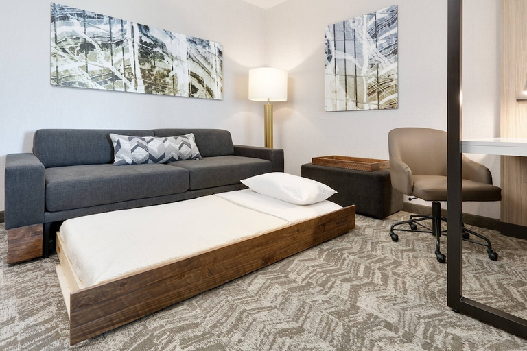 Bedroom 4, Springhill Suites Dallas Mansfield, Tarrant