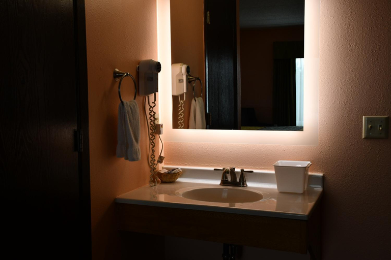 Bathroom 3, Regency Inn & Suites, Rice
