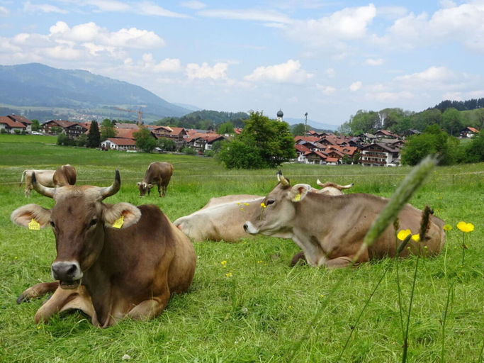 Miscellaneous, Holiday Apartment Hornerblick, Oberallgäu
