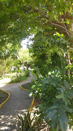 Others 2, Style House in Cancun, Benito Juárez