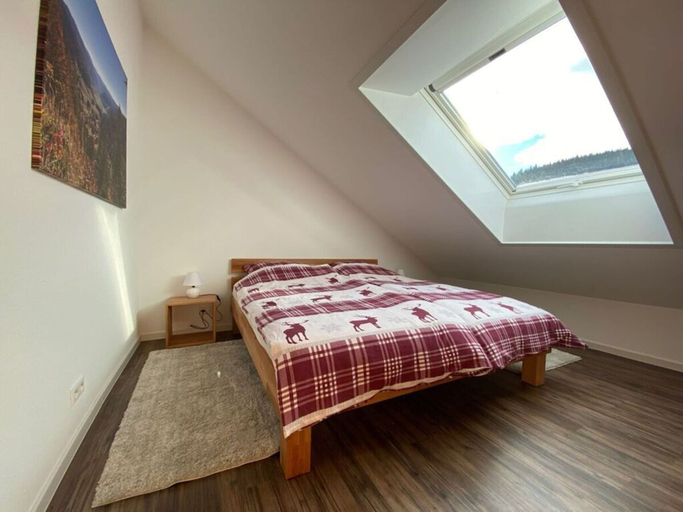 Room 5, Spacious Holiday Home Near Ski-lift, Waldshut