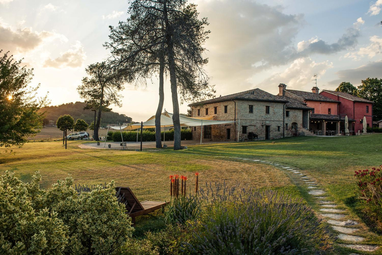 Exterior & Views 1, Ca' Virginia Country House Wellness, Pesaro E Urbino
