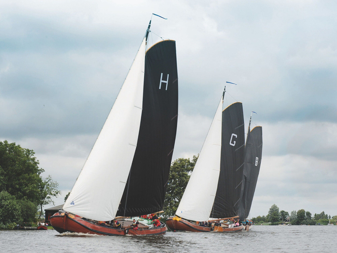 View from property 3, Group Accommodation With Wellness in Friesland, Boarnsterhim
