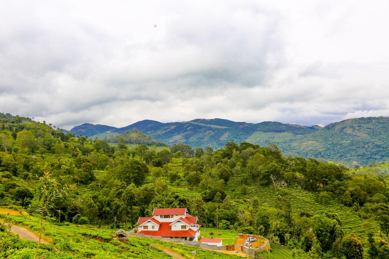Others 3, Mystique stay resort, The Nilgiris