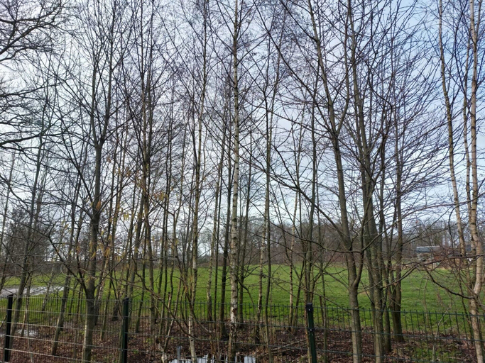 View from property 4, Comfortable Holiday Home With Garden, Wierden