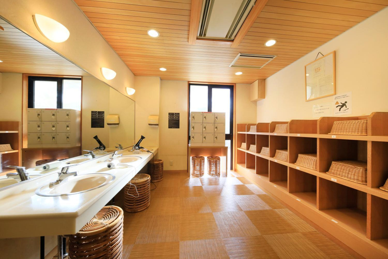 Bathroom 5, FOURTREAT plus NASUKOGEN, Nasu