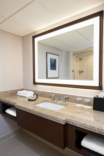 Bathroom 4, Memphis Riverline Hotel, Shelby