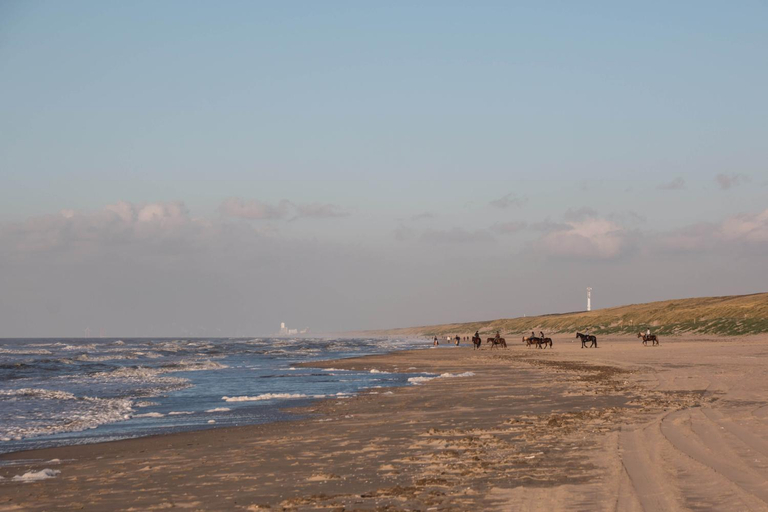 Others 5, The Flying Pig Beach Hostel, Noordwijk