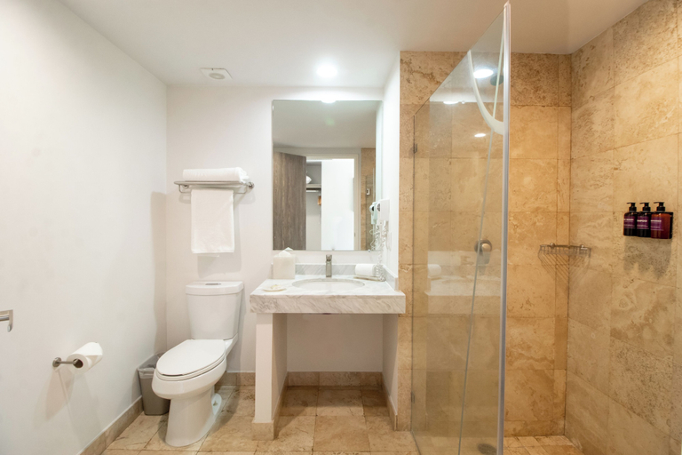 Bathroom 5, Hotel SI Chapala, Ixtlahuacán de los Membrillos
