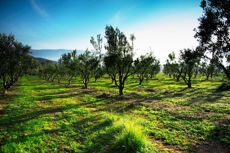 Others 3, Galenia Estate, Cape Winelands