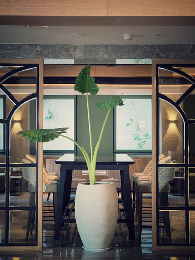 Food & Drinks 5, Hyatt Place Vijayawada, Krishna