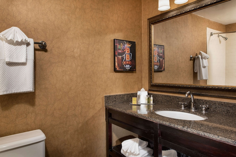 Bathroom 4, Doubletree Hotel Memphis Downtown, Shelby