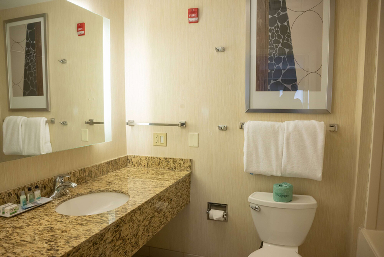 Bathroom 5, Hawthorn Suites BY Wyndham Erie, Erie