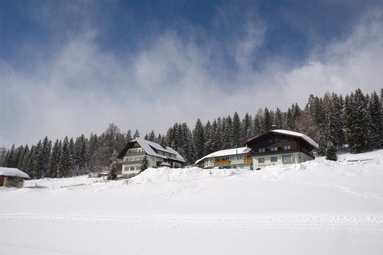 Hotel Tischlbergerhof, Liezen