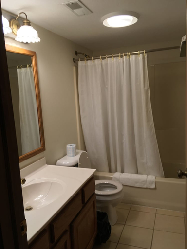 Bathroom 4, Hotel Nashville, Brown