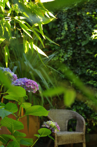 Others 5, Chez l'Autre, Haute-Loire