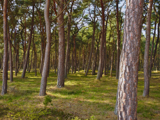 Miscellaneous 2, Hjornet Modern Retreat, Bornholm