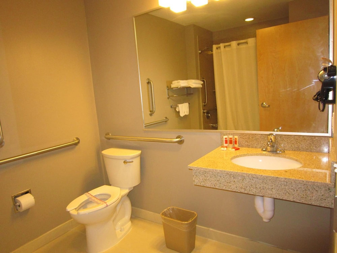 Bathroom 3, Red Carpet Inn And Suites Monmouth Jtc, Middlesex