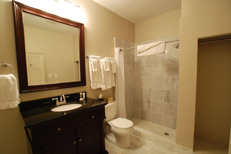 Bathroom 3, Inn On St. Peter, Orleans