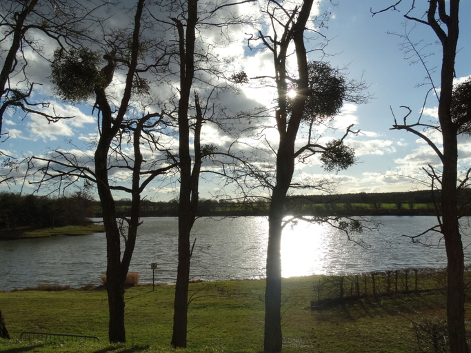 View from property 4, Beautiful Holiday Home With Swimming Pool, Allier