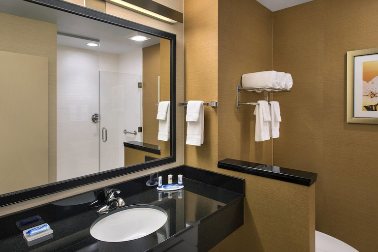 Bathroom 2, Fairfield Inn Suites Wilmington New Castle, New Castle