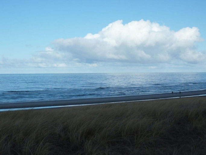Beach, Zwenger - Egmond Aan Zee, Bergen