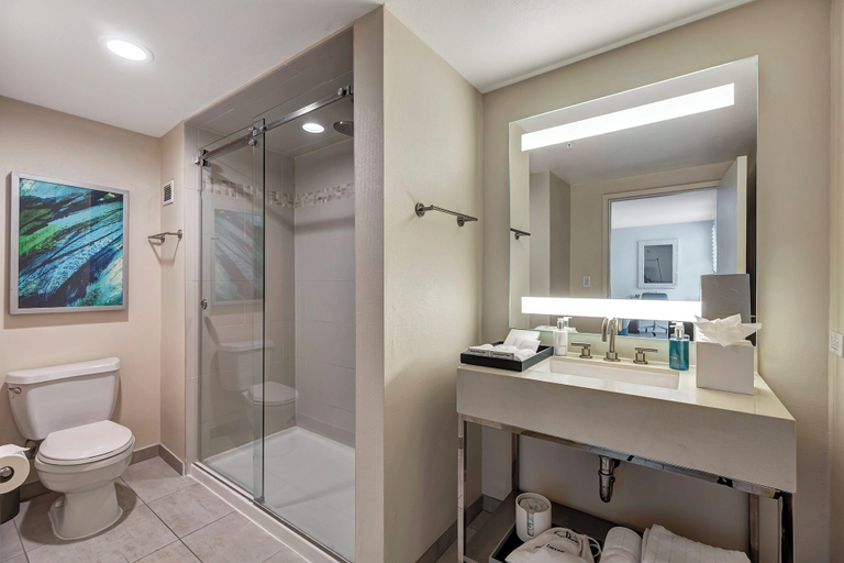 Bathroom 5, Ocean View Hotel, Los Angeles