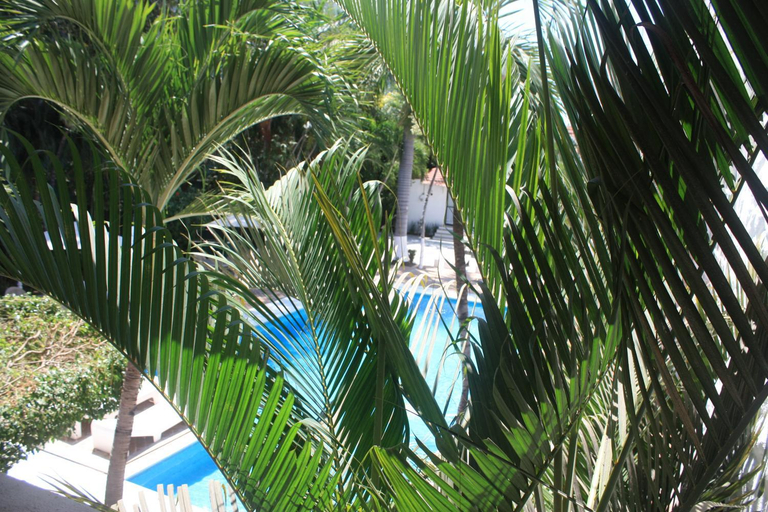Others 5, Hotel Olinala Diamante, Acapulco de Juárez