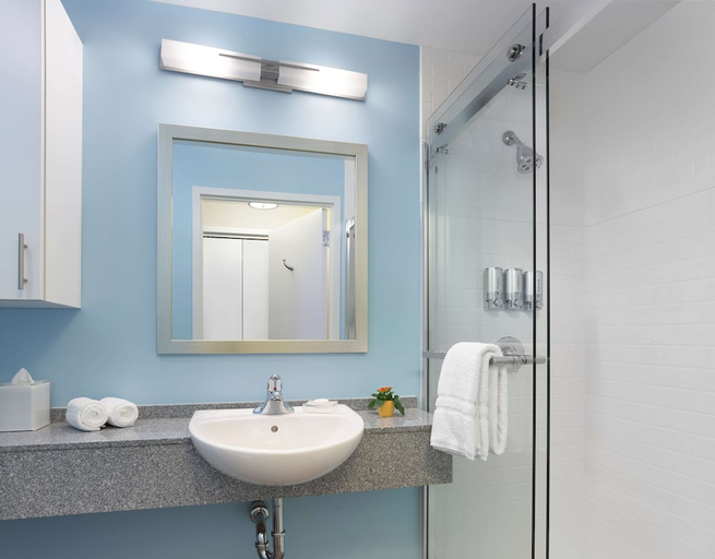 Bathroom 3, Sonesta Es Suites New Orleans, Orleans