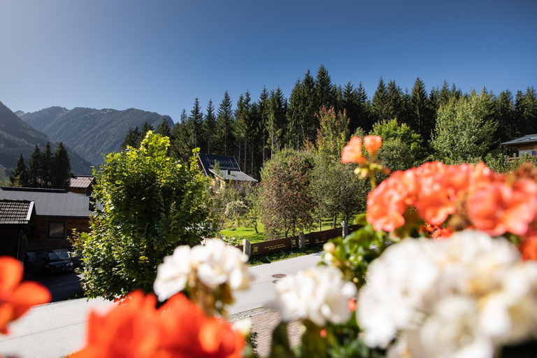 Others 5, Apartment Wanger, Zell am See