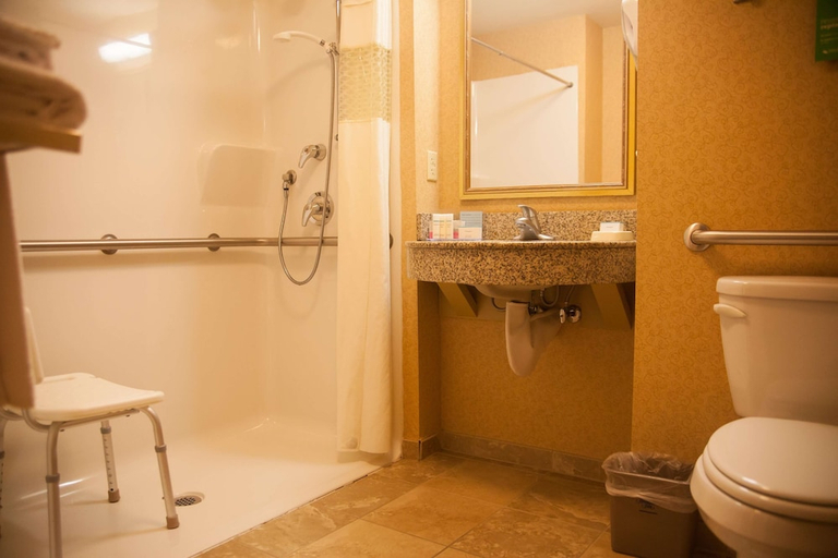 Bathroom 5, Hampton Inn Mountain Home, Baxter