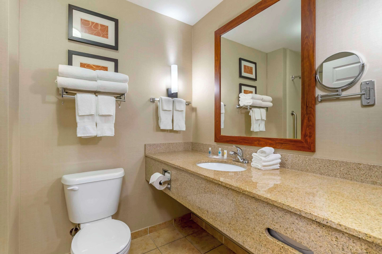 Bathroom 4, Comfort Suites Sarasota - Siesta Key, Sarasota