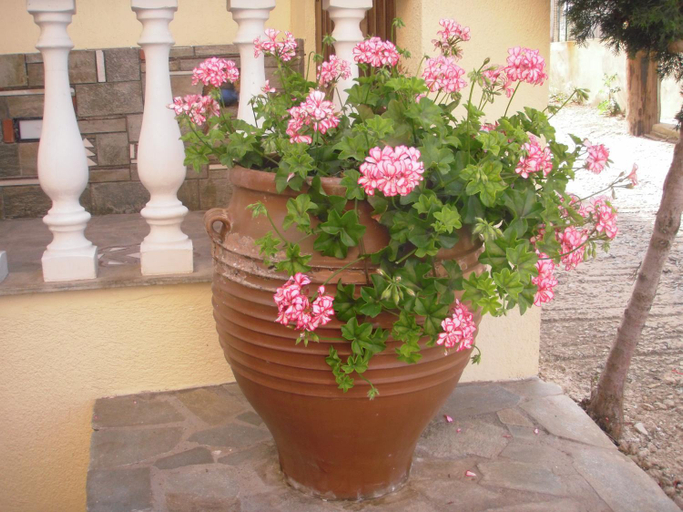 Others 5, Ikos Studios and Apartments, Thessaly