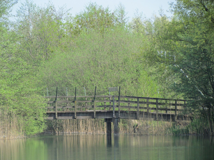 View from property 5, Forest Villa Near Nijmegen, Beuningen