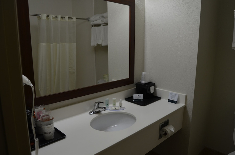 Bathroom 3, Quality Inn Monteagle, TN, Grundy