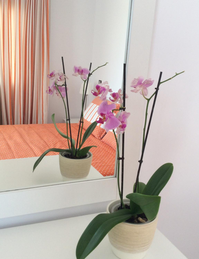 Facilities 4, Katerina Apartments & Studios, South Aegean