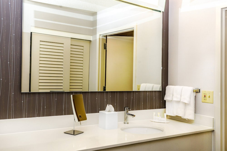 Bathroom 4, Courtyard By Marriott Nashville At Opryland, Davidson
