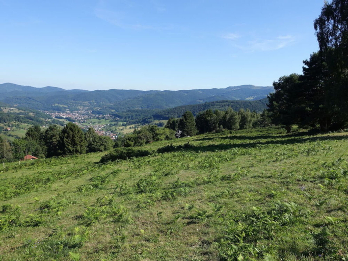 Property grounds, Modern Apartment in Soultzeren, Haut-Rhin