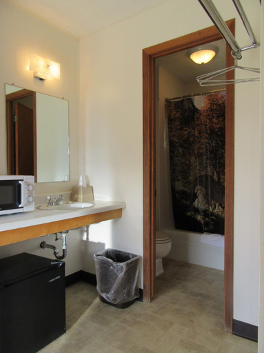 Bathroom, Big Bear Motel, Park