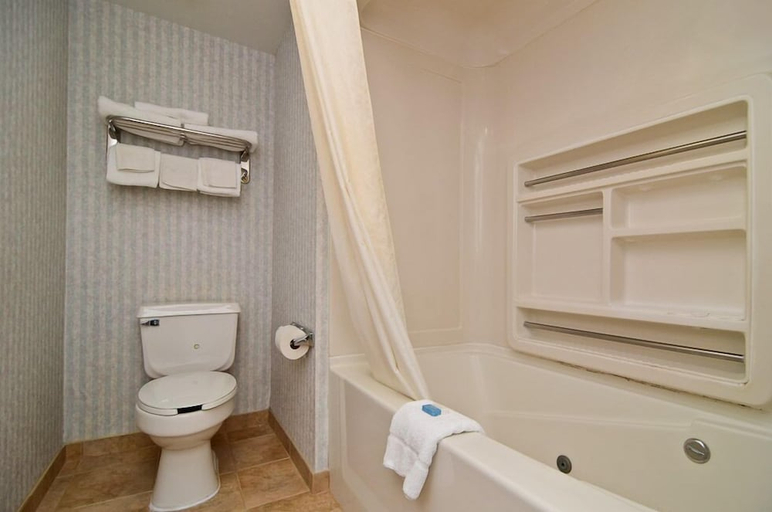 Bathroom 3, MHO INN and SUITES, Middlesex