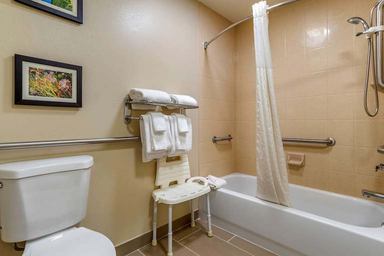 Bathroom 4, Comfort Suites At Eglin Air Force Base, Okaloosa