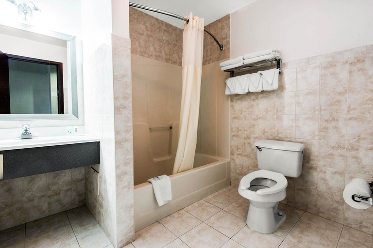 Bathroom 4, Quality Inn - Niagara Falls Blvd, Niagara