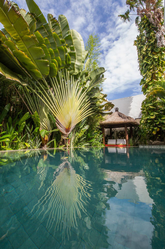 Swimming Pool 23