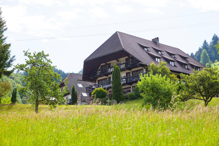 Exterior & Views 2, Landhaus Langeck, Breisgau-Hochschwarzwald