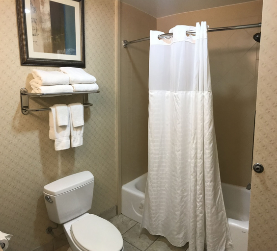 Bathroom 4, Comfort Suites Olive Branch West, Desoto