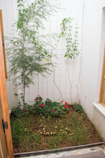 Others 5, Choice Guest House No. 2, Addis Abeba