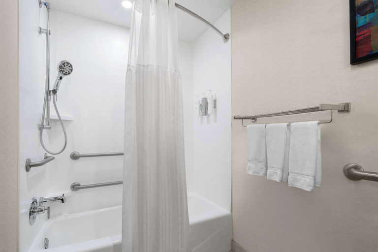Bathroom 4, Hilton Garden Inn Rock Hill, York
