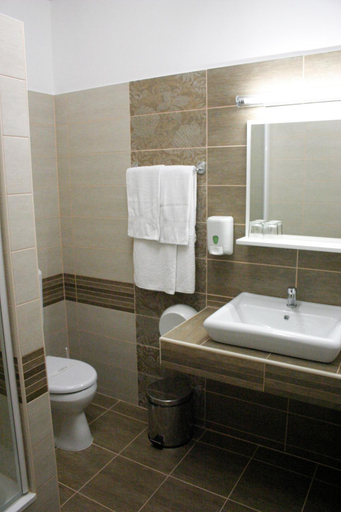 Bathroom 2, Hotel Poarta Transilvaniei, Bistrita