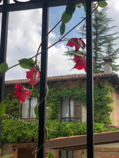 Others 5, Agriturismo Feliciana, Brescia